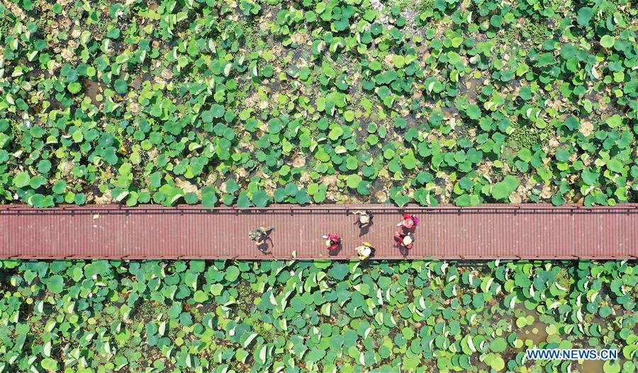 139134694_15919700768971n 139134694_15919700768971n