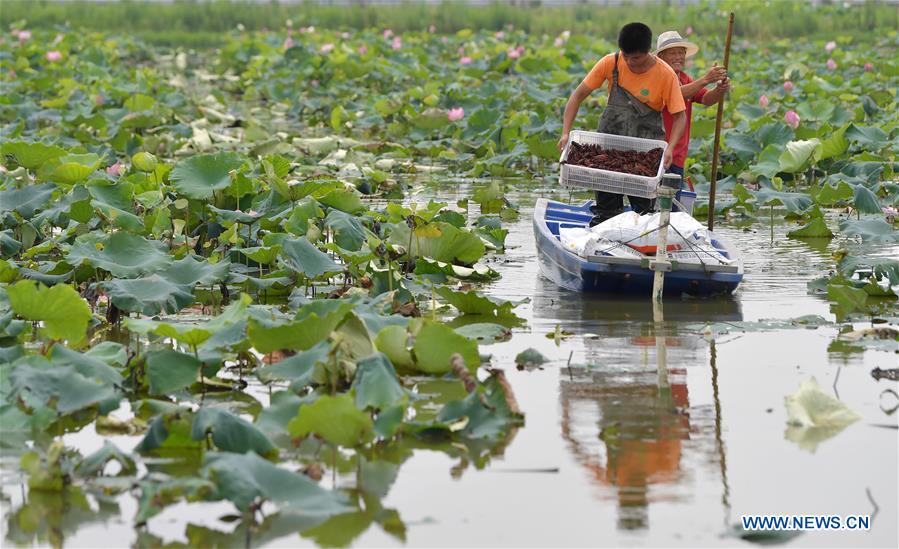 139134694_15919700769331n 139134694_15919700769331n