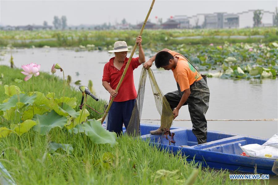 139134694_15919700770331n 139134694_15919700770331n