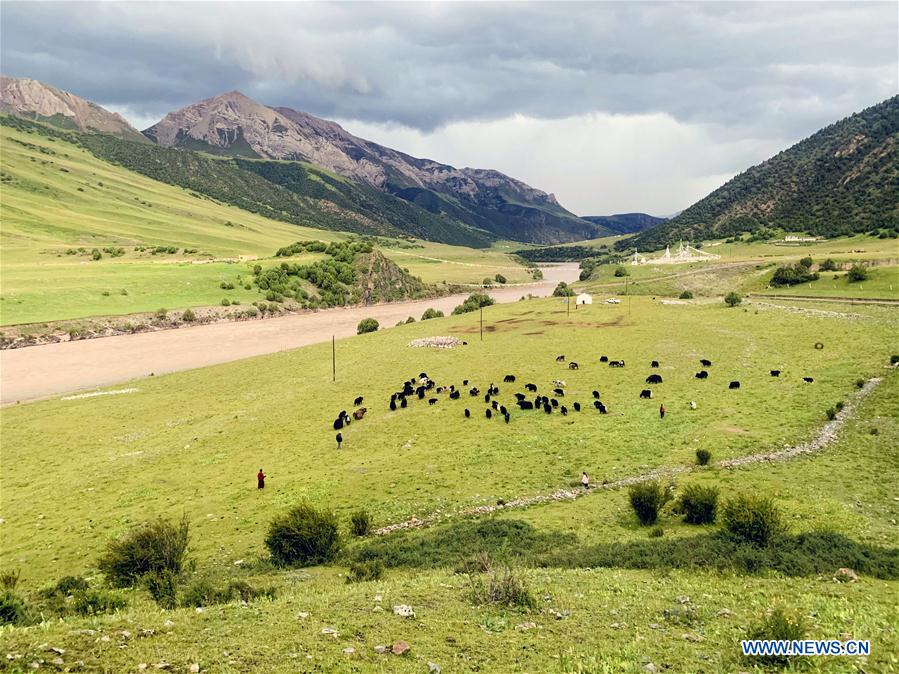 Photo taken on Aug. 22, 2020 shows the view of Angsai Canyon in Zaduo County, Yushu Tibetan Autonomous Prefecture, northwest China