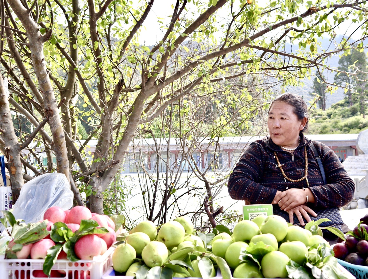 A resident sells locally produced organic fruits to tourists in Nyingchi, Tibet autonomous region. [Photo by Palden Nyima/chinadaily.com.cn]