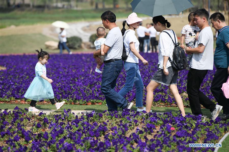 People visit a creative field garden in Hefei, capital of east China