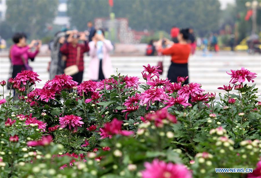 People enjoy chrysanthemums displayed at an exhibition in Shijiazhuang, North China