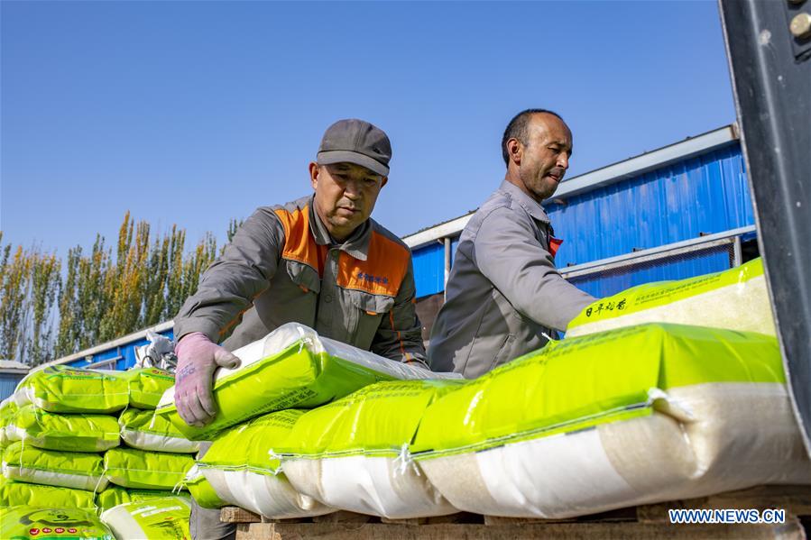 Workers load packaged rice at a rice factory in Tohula Township of Wensu County, Aksu Prefecture, northwest China