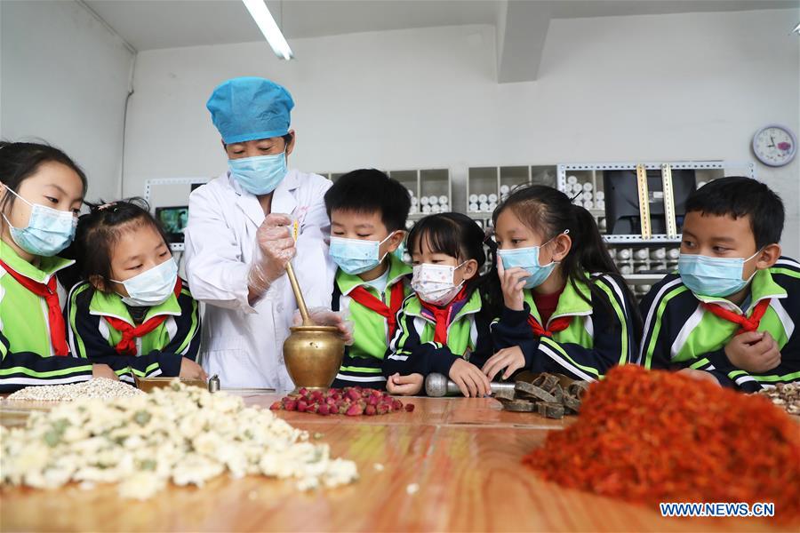 A pharmacist demonstrates how to process traditional Chinese medicine (TCM) herbs in Tangshan, north China