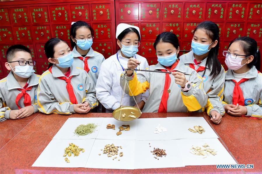 Students learn to dispense traditional Chinese medicinal materials under the instruction of a pharmacist in Shijiazhuang, north China
