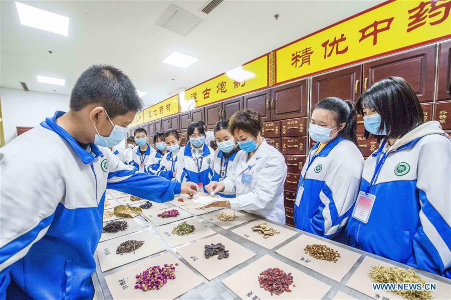 Students learn the knowledge of traditional Chinese medicinal materials under the instruction of a pharmacist in Qingzhou, east China