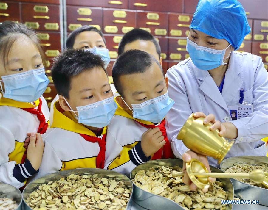 Students learn knowledge of traditional Chinese medicinal materials under the instruction of a medical worker in Qinhuangdao, north China
