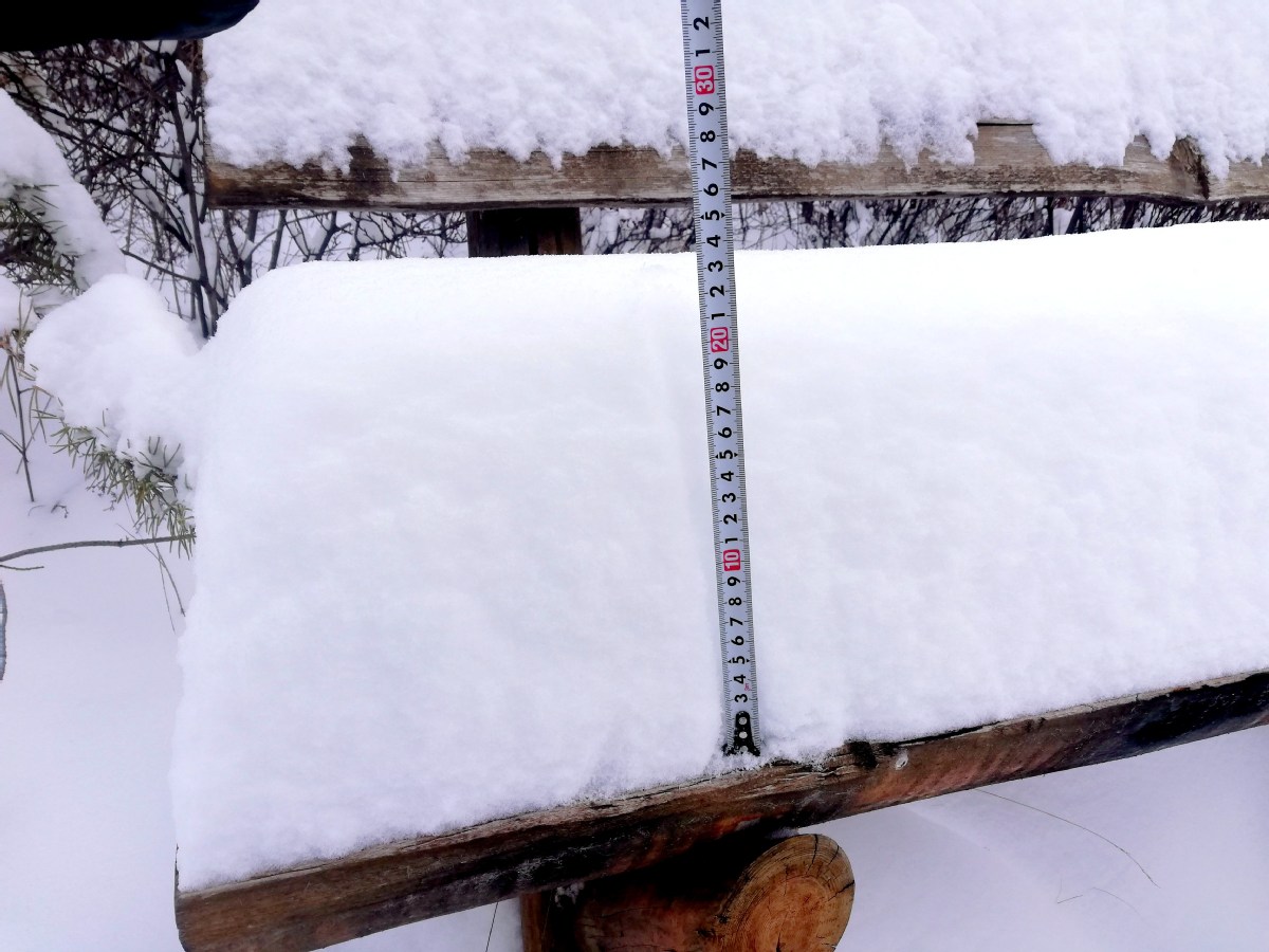 More than 20 centimeters of snow accumulated from Saturday morning to Sunday evening in Huzhong district of the Daxinganling region of Heilongjiang province. [Photo by Feng Hongwei/For chinadaily.com.cn]