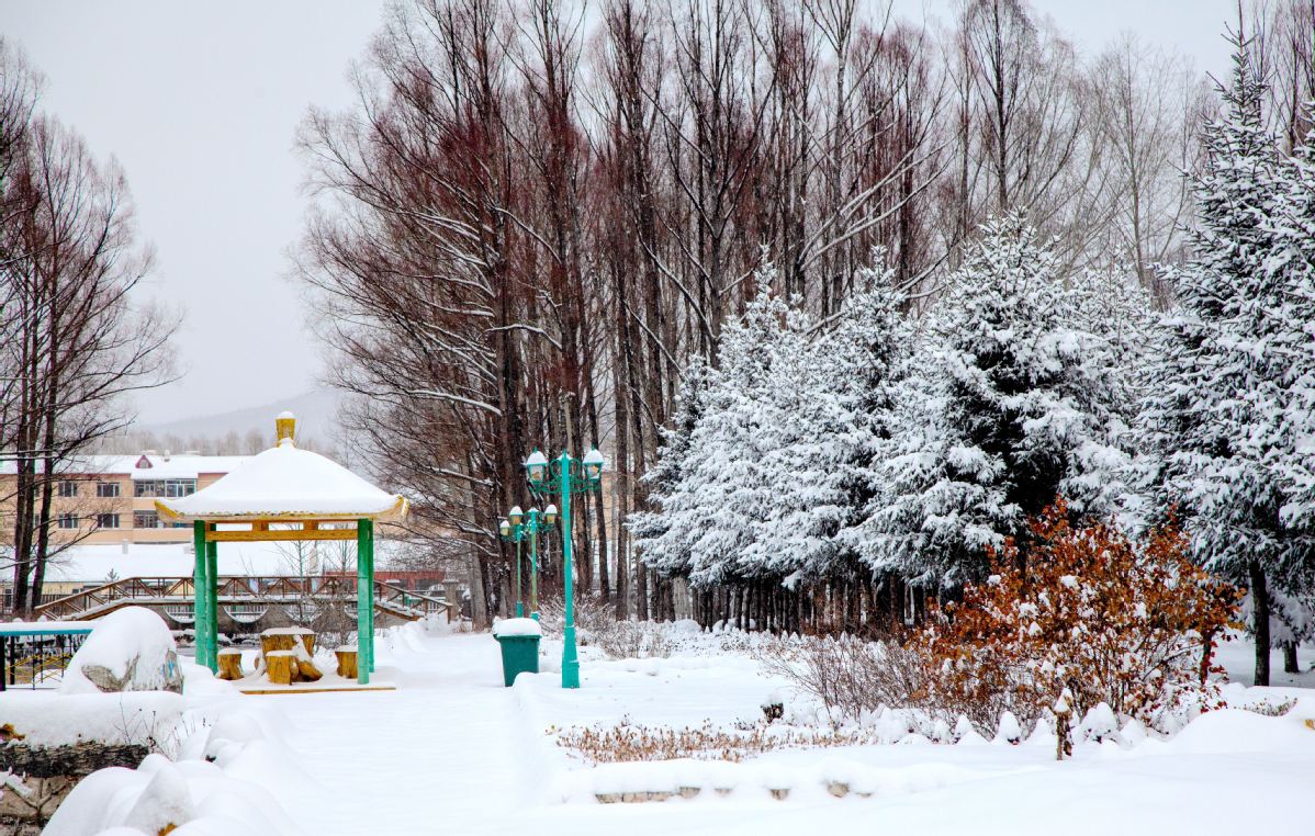 fter a heavy snow, the frozen rime on trees turned Huzhong district in Daxinganling region of Heilongjiang province into a dreamy landscape. [Photo by Feng Hongwei/For chinadaily.com.cn]