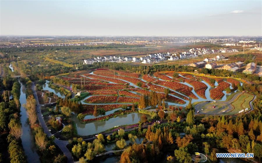 Aerial photo taken on Oct. 30, 2020 shows an ecological park in Jinshan District, east China