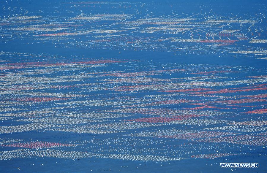 Photo taken on Nov. 10, 2020 shows an aquaculture farming area in Ankai Township, Lianjiang County, southeast China