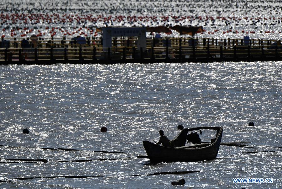 Photo taken on Nov. 10, 2020 shows a fishing boat sailing on an aquaculture farming area in Xiaocheng Township, Lianjiang County, southeast China