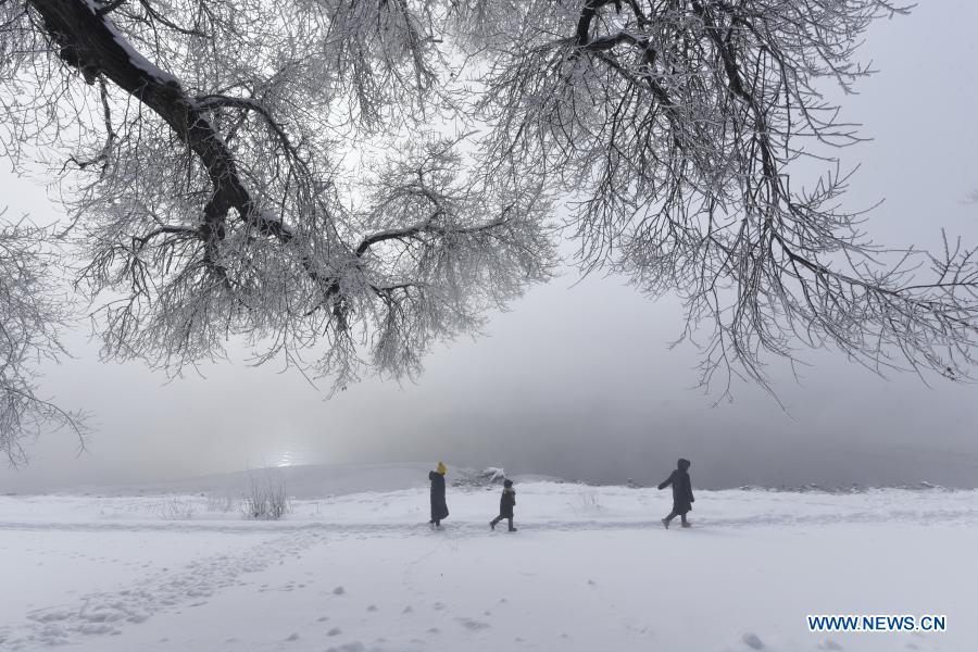 People enjoy the scenery of rime-covered trees along the Mudanjiang River in Ning
