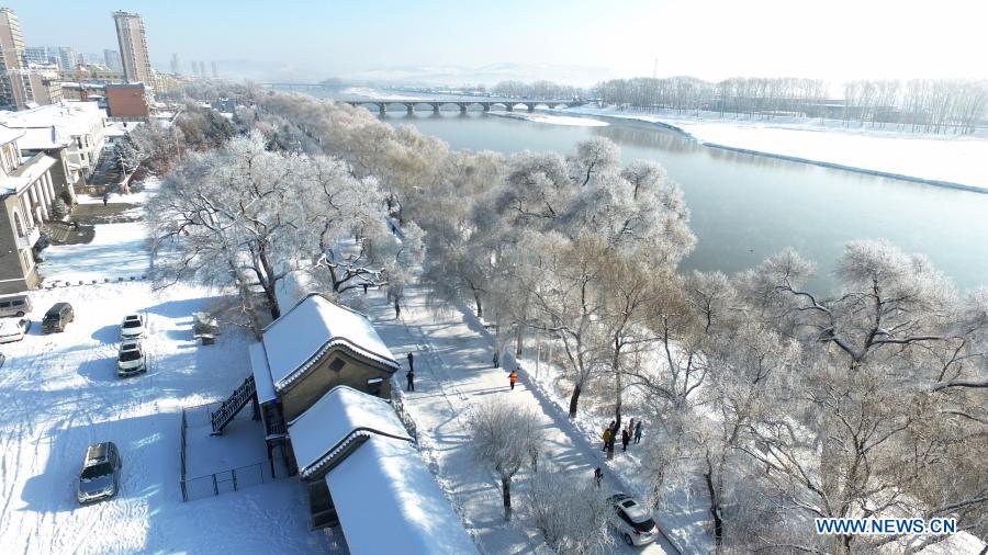 Aerial photo taken on Nov. 22, 2020 shows the scenery of rime-covered trees along the Mudanjiang River in Ning