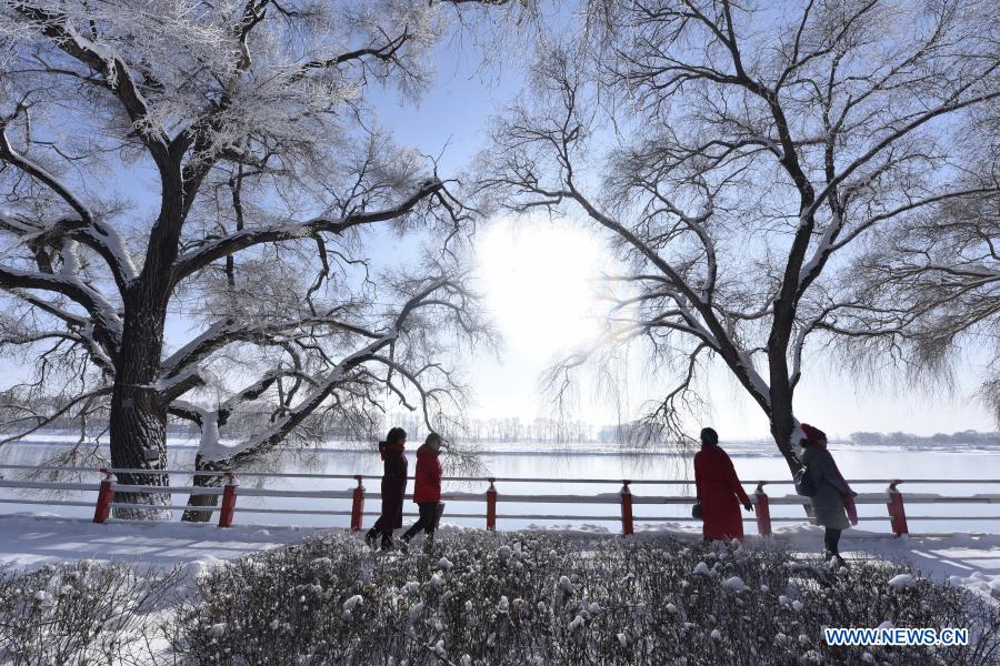 People enjoy the scenery of rime-covered trees along the Mudanjiang River in Ning