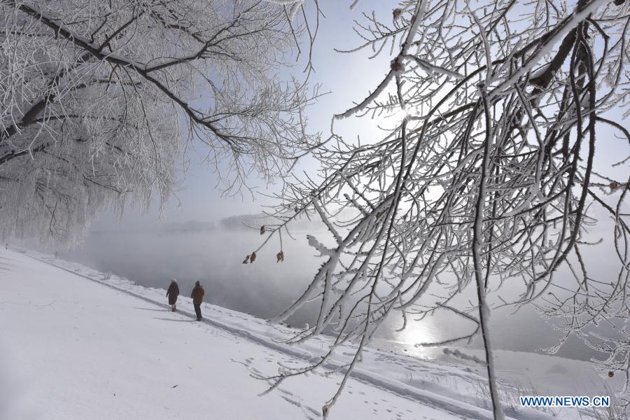 People enjoy the scenery of rime-covered trees along the Mudanjiang River in Ning