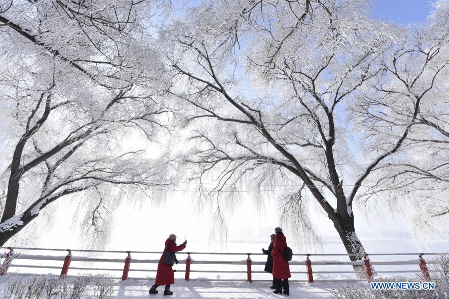 People enjoy the scenery of rime-covered trees along the Mudanjiang River in Ning