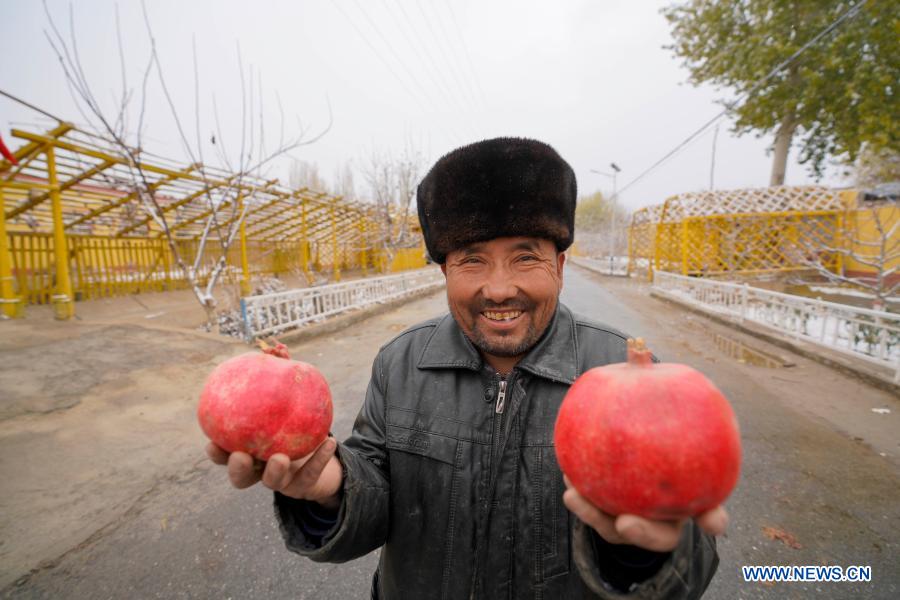 A villager shows harvested pomegranates in Piyalma Township of Pishan County in Hotan Prefecture, northwest China