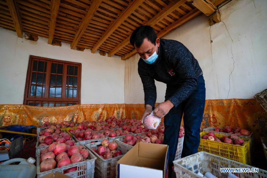 A villager arranges harvested pomegranates in Piyalma Township of Pishan County in Hotan Prefecture, northwest China