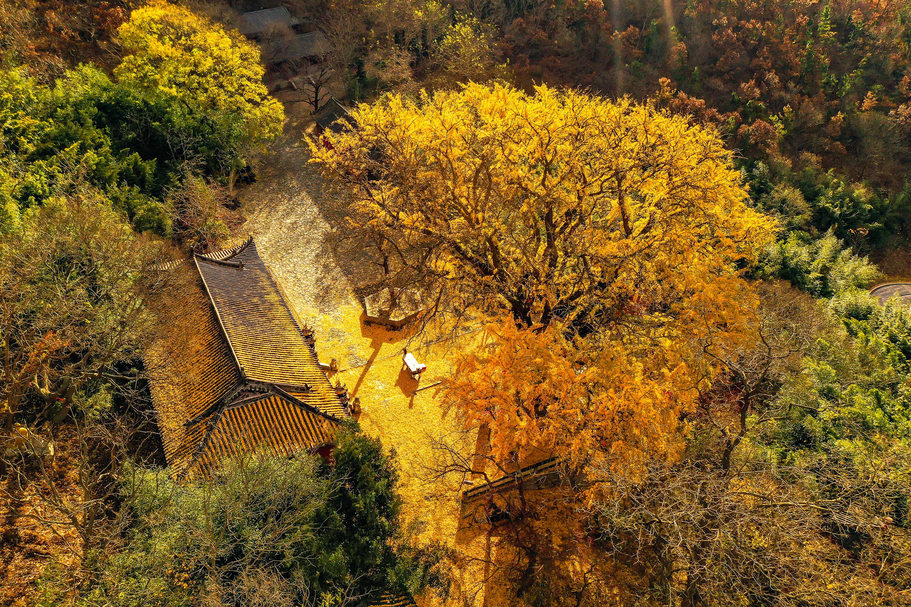 The splendid scenery at Shengshui Taoist Temple in early winter. [Photo by Li Xinjun/for chinadaily.com.cn]