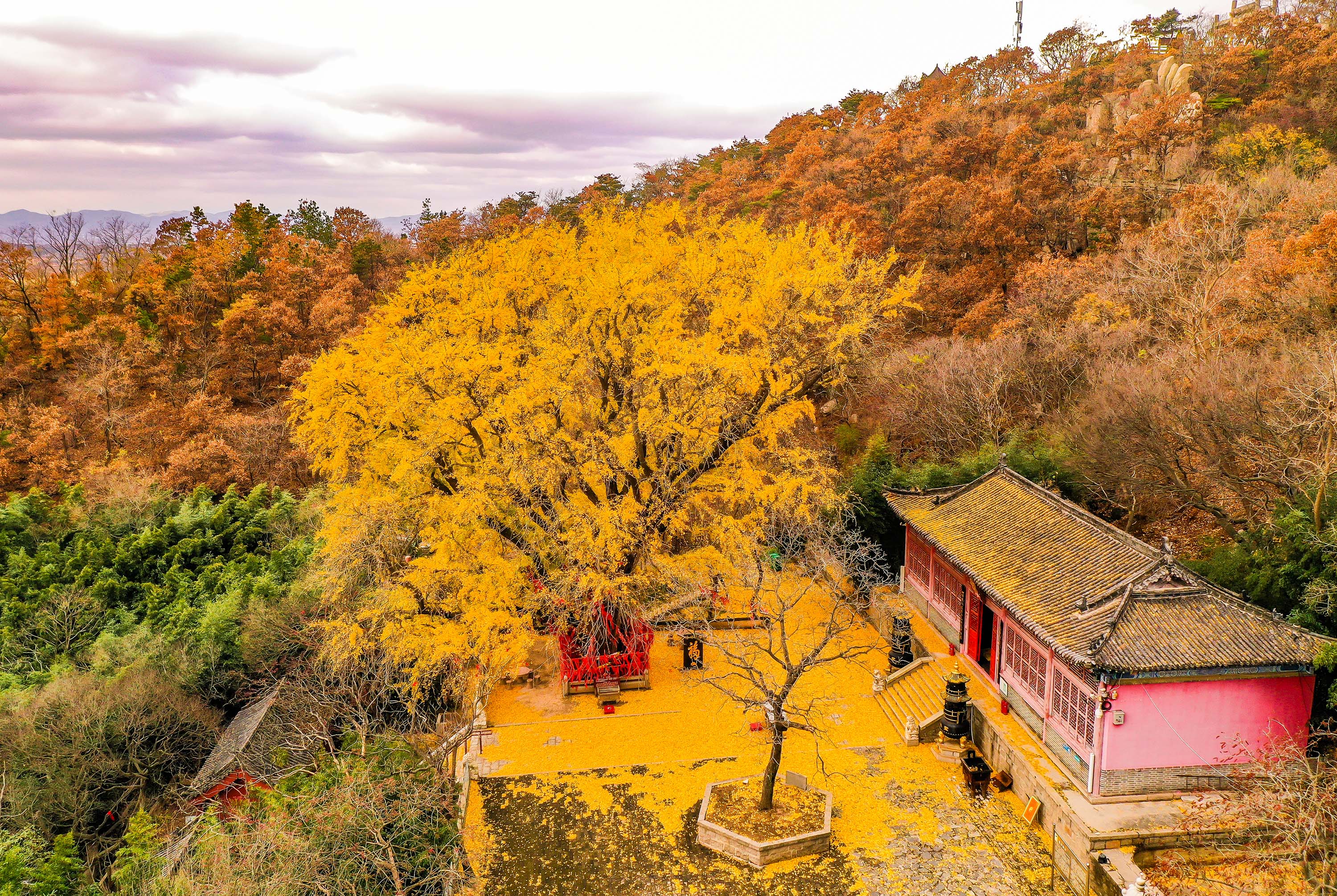 The splendid scenery at Shengshui Taoist Temple in early winter. [Photo by Li Xinjun/for chinadaily.com.cn]