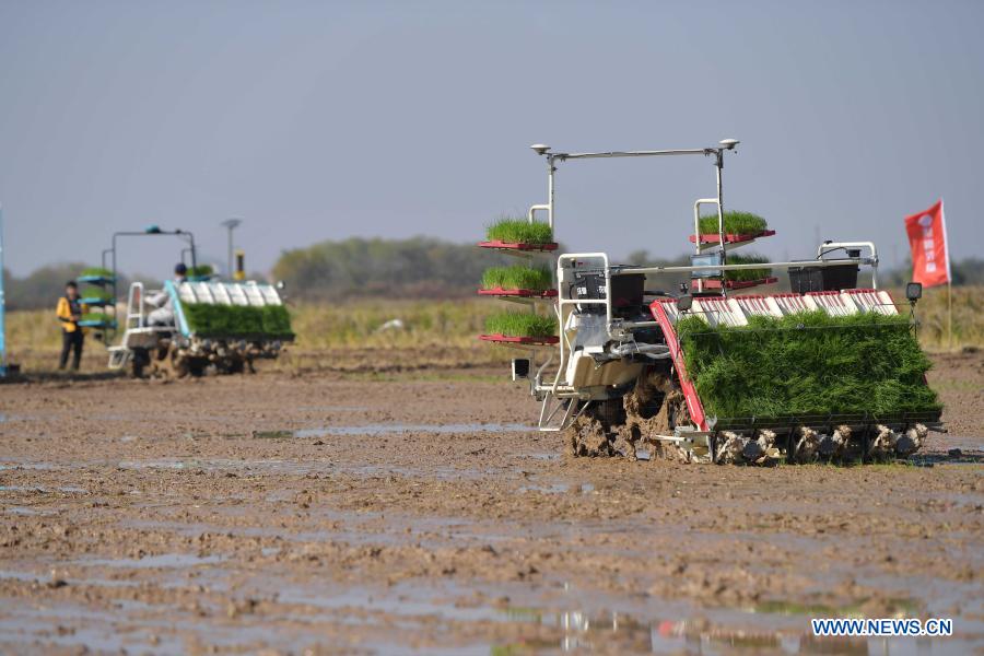 An unmanned crop seeder works during a demonstration at an intelligent farm in Jiangxiang Town of Nanchang County, east China