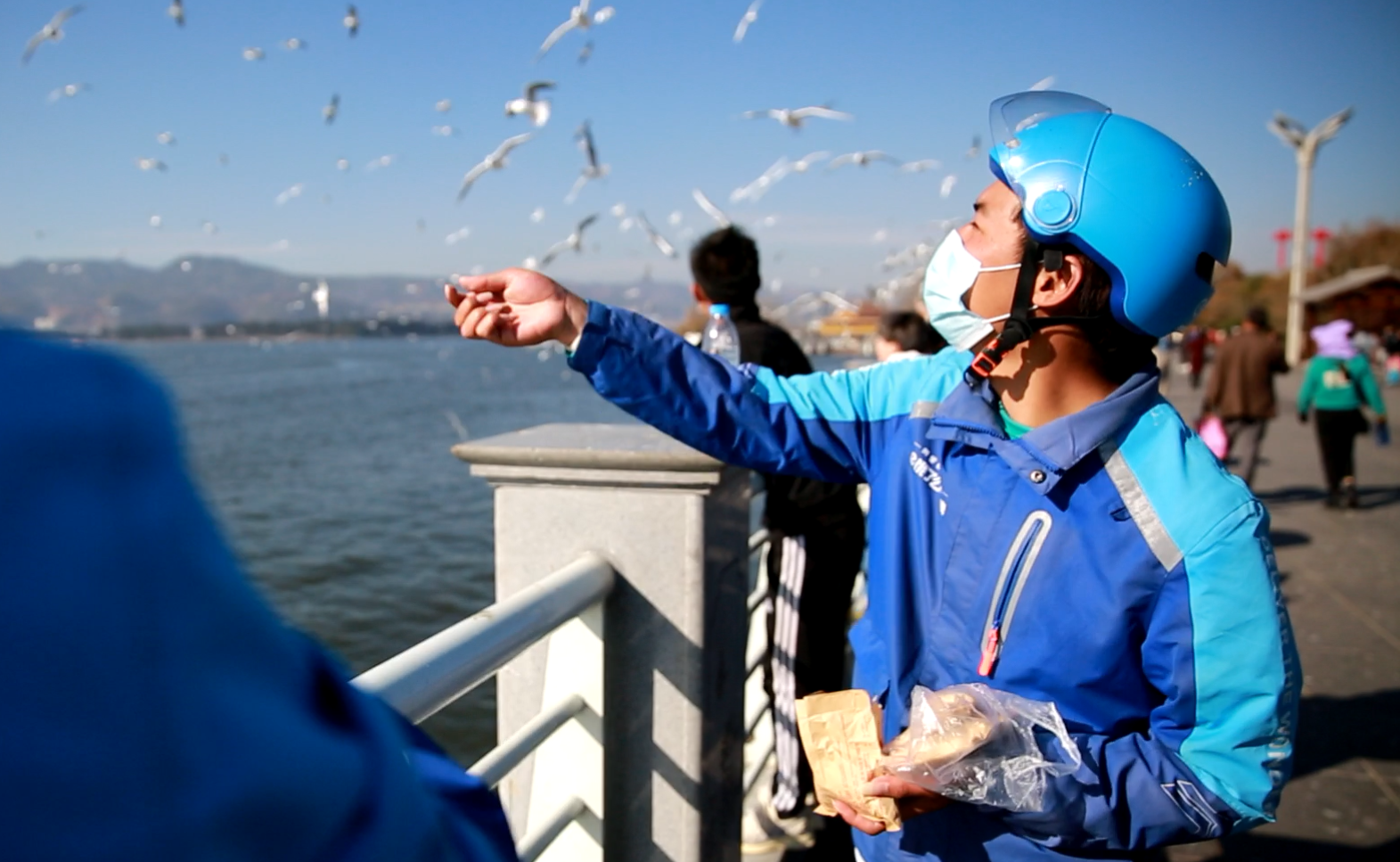 More than 3,000 Chinese netizens order takeout for black-headed gulls in Kunming, China