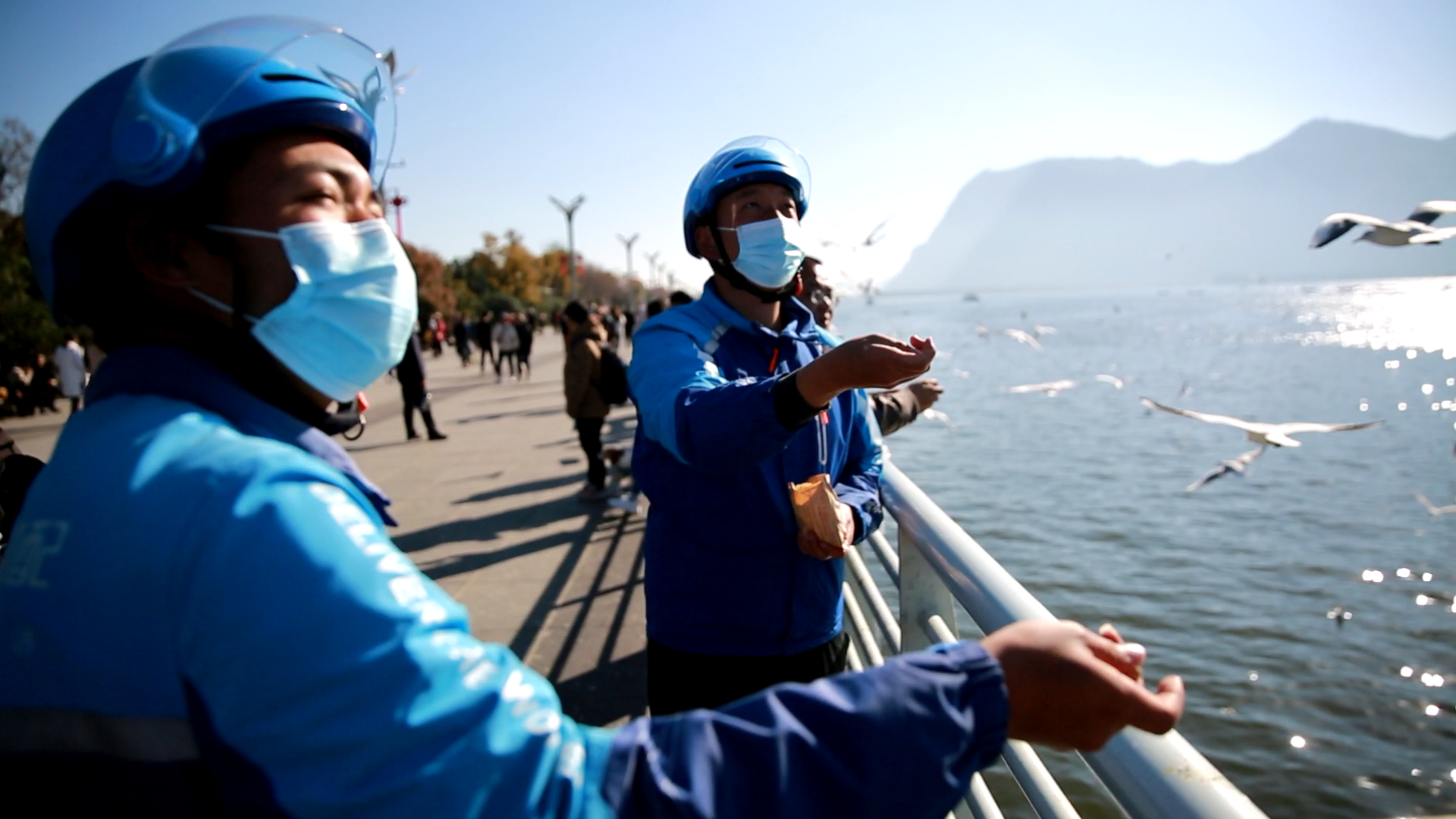 More than 3,000 Chinese netizens order takeout for black-headed gulls in Kunming, China