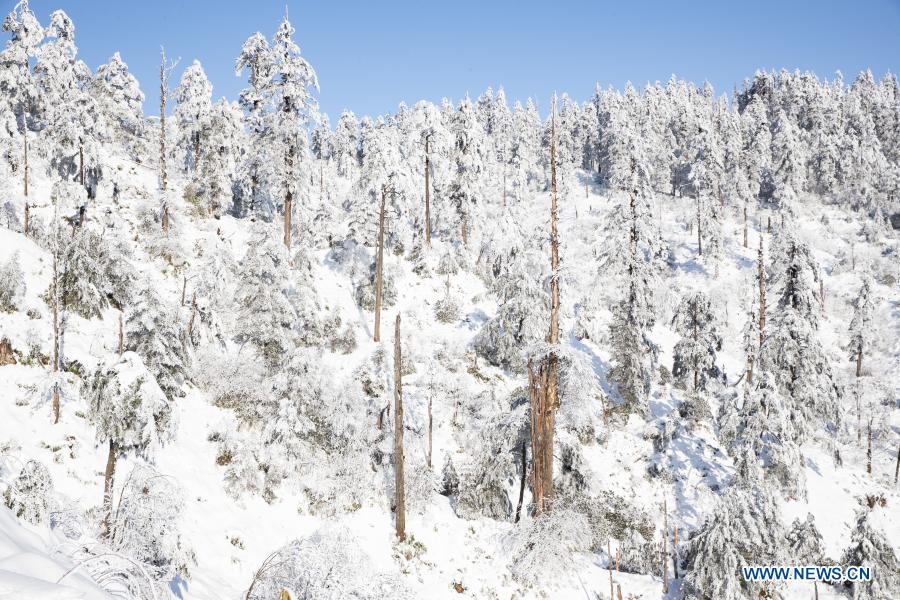 Photo taken on Jan. 2, 2021 shows the scenery of the snow-covered Longcanggou National Forest Park in Yingjing County, southwest China