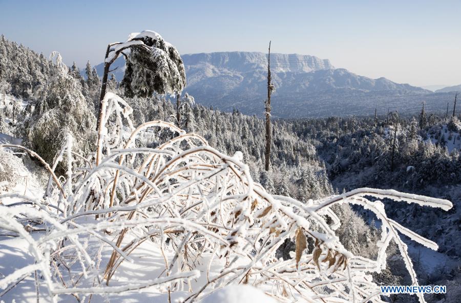 Photo taken on Jan. 2, 2021 shows the scenery of the snow-covered Longcanggou National Forest Park in Yingjing County, southwest China