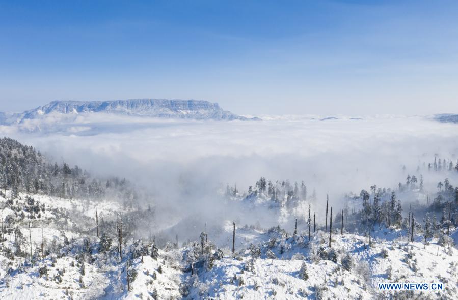 Aerial photo taken from the Longcanggou National Forest Park in Yingjing County on Jan. 2, 2021 shows the scenery of Wawu Mountain in southwest China