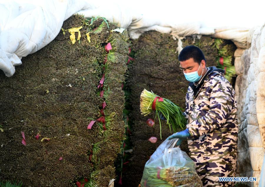 A merchant transfers vegetables at Qiaoxi vegetable wholesale market in Shijiazhuang, north China