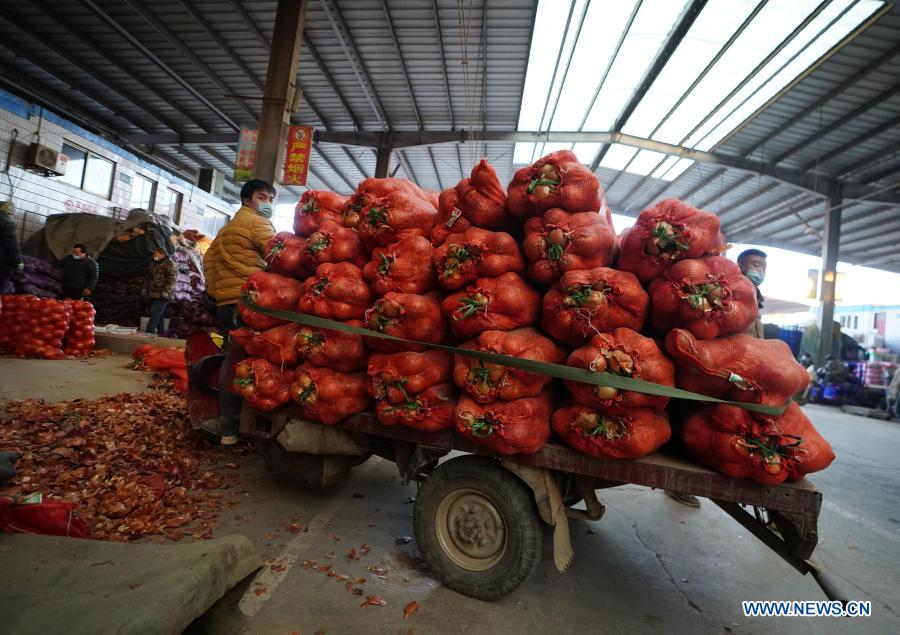 Merchants transfer vegetables at Qiaoxi vegetable wholesale market in Shijiazhuang, north China