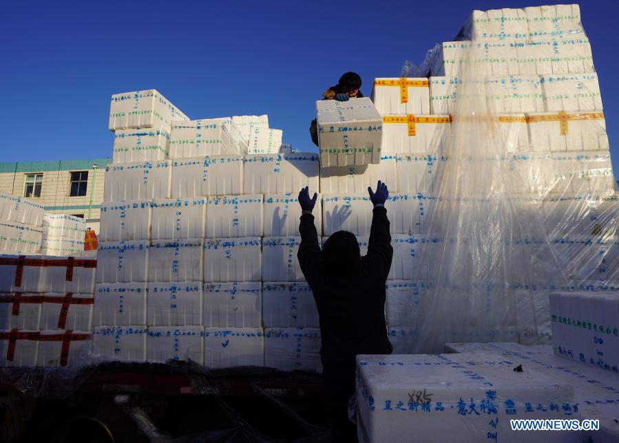 Merchants transfer vegetables at Qiaoxi vegetable wholesale market in Shijiazhuang, north China