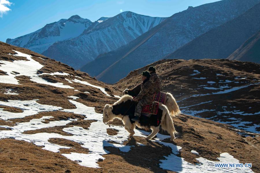Team members ride on yaks during on a border patrol in northwest China