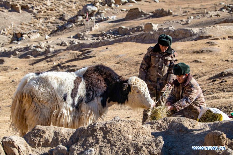 Team members ride on yaks during on a border patrol in northwest China
