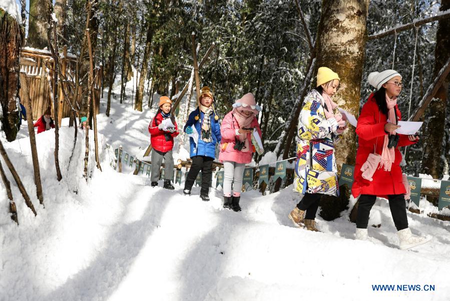 Students from Huchangbao Primary School participate in educational activities at a camp in Longcanggou National Forest Park in Yingjing County, southwest China