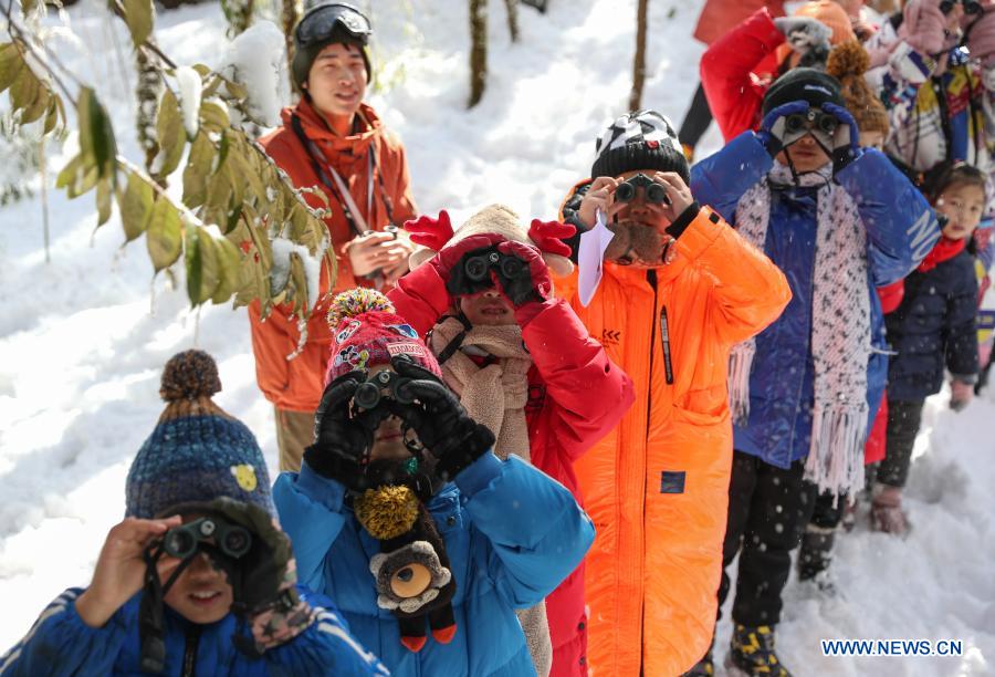 Students from Huchangbao Primary School observe birds at a camp in Longcanggou National Forest Park in Yingjing County, southwest China