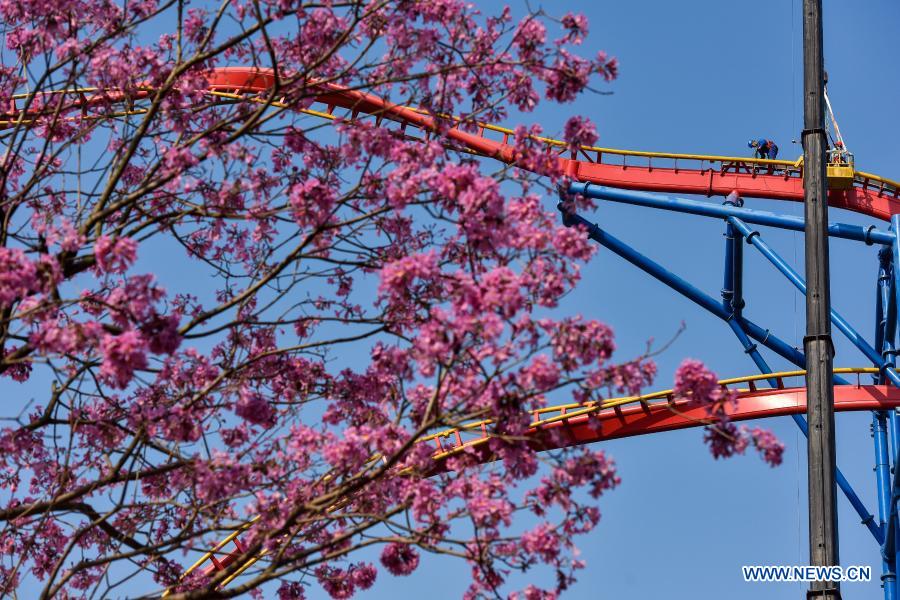 Maintenance workers carry out annual safety inspection on a roller coaster at Chimelong Tourist Resort in the run-up to the Lunar New Year holiday in Guangzhou, south China