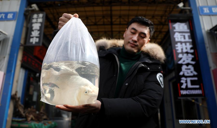 A man carries a bag of pet fish outside a pet fish market in Tiexi District of Anshan, northeast China
