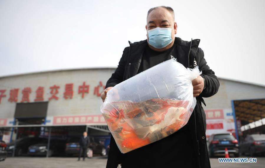A man carries a bag of pet fish outside a pet fish market in Tiexi District of Anshan, northeast China