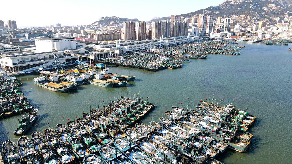 Fishing boats moored at Shidao fishing port in Rongcheng, Weihai, East China