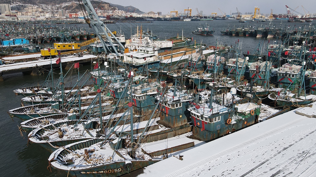 Fishing boats moored at Shidao fishing port in Rongcheng, Weihai, East China