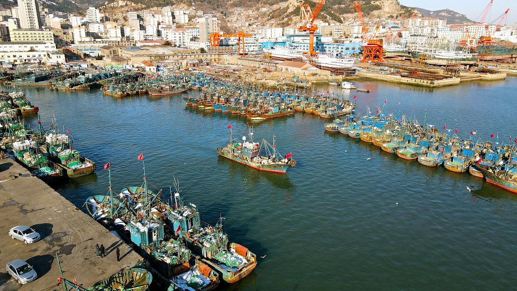 Fishing boats moored at Shidao fishing port in Rongcheng, Weihai, East China