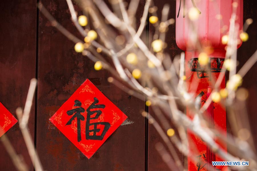 Photo taken on Feb. 27, 2021 shows wintersweet bloom at Wofo Temple in Beijing, Capital of China, Feb. 27, 2021. (Xinhua/Li Jing) 