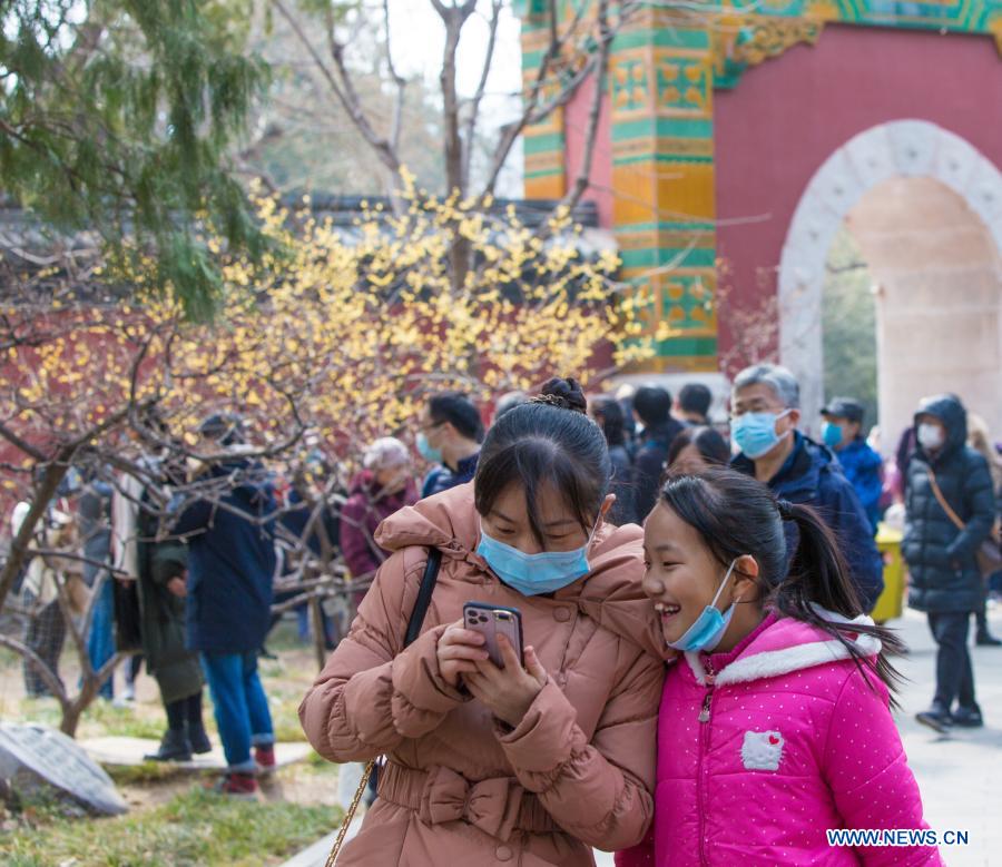 Visitors watch photos of wintersweet at Wofo Temple in Beijing, Capital of China, Feb. 27, 2021. (Xinhua/Li Jing)