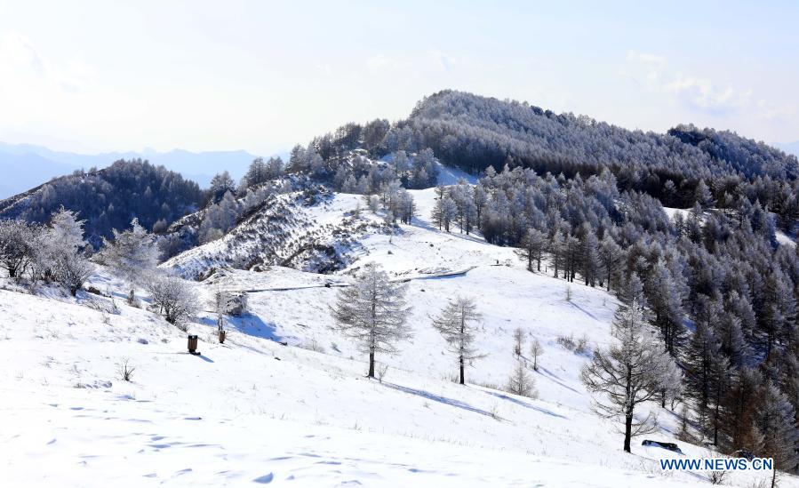 Photo taken on March 1, 2021 shows the scenery of Tuoliang scenic area in Pingshan County, north China