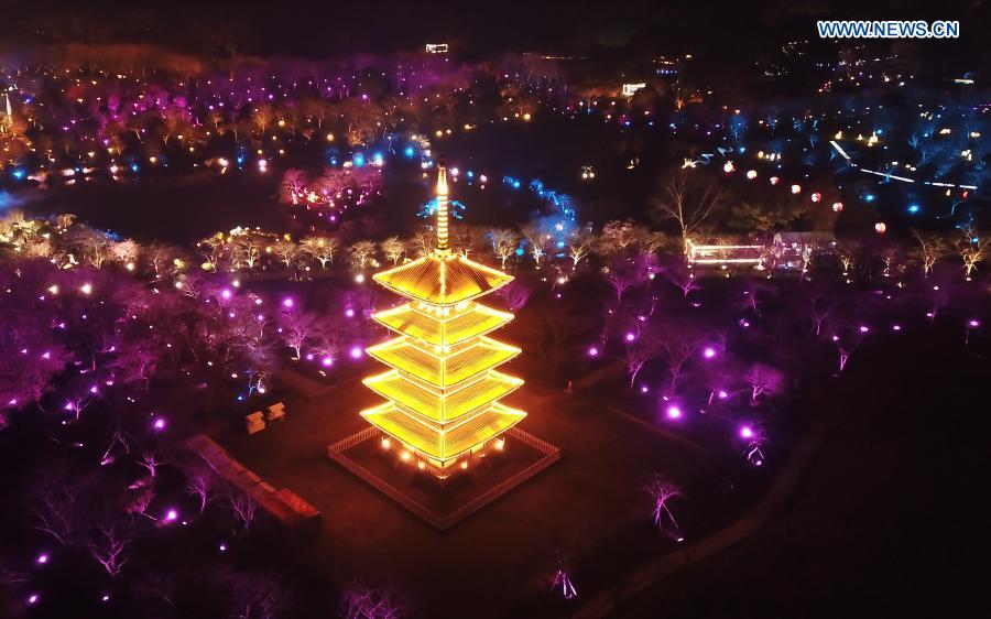 Aerial photo taken on March 3, 2021 shows a night view of cherry blossom garden by the East Lake in Wuhan, central China