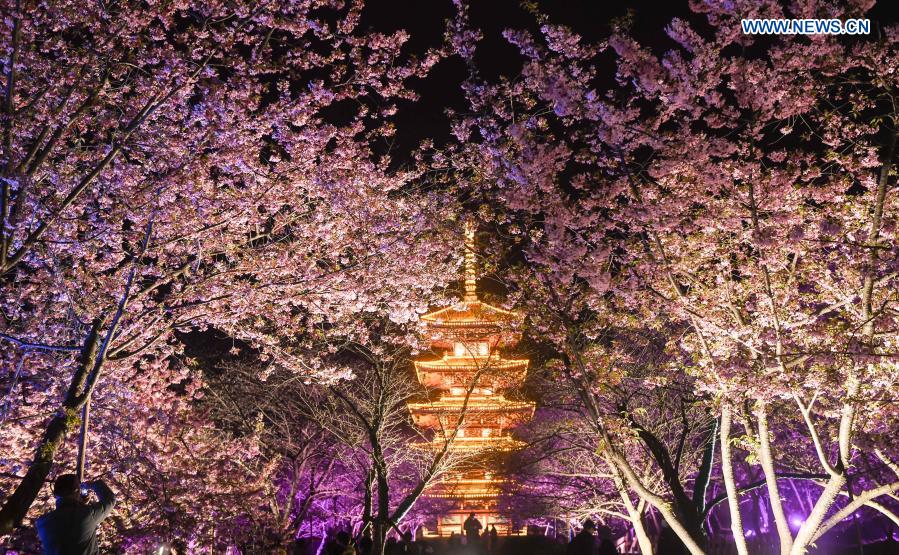 Photo taken on March 3, 2021 shows a night view of blooming cherry blossoms by the East Lake in Wuhan, central China